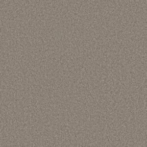 Shaw Floors Carpet Del Rio II Driftwood 00751_5E826