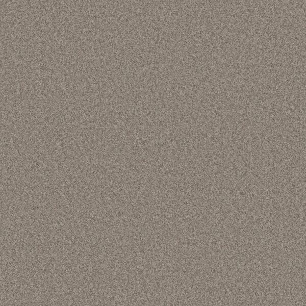 Shaw Floors Carpet Del Rio II Driftwood 00751_5E826