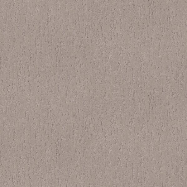 Shaw Floors Carpet Calm Expression Charming Tan 00111_5E827