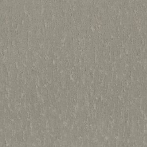 Shaw Floors Carpet Calm Expression Organic Grown 00320_5E827