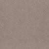 Shaw Floors Carpet Sincere Focus Charming Tan 00111_5E828