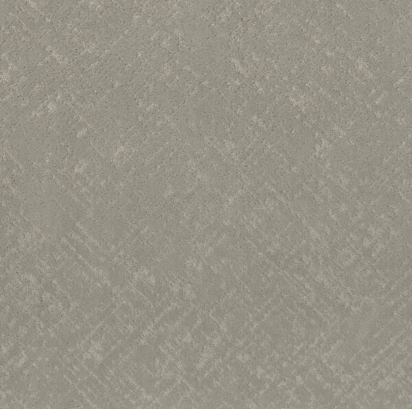 Shaw Floors Carpet Sincere Focus Organic Grown 00320_5E828