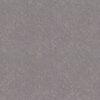 Shaw Floors Carpet Sincere Focus Anchor 00509_5E828