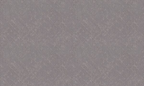Shaw Floors Carpet Sincere Focus Anchor 00509_5E828