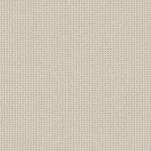 Shaw Floors Carpet San Antonio White Blush 00111_5E829