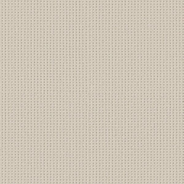 Shaw Floors Carpet San Antonio White Blush 00111_5E829