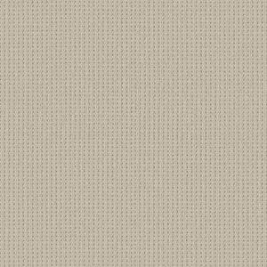 Shaw Floors Carpet San Antonio Aged White 00112_5E829