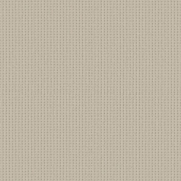 Shaw Floors Carpet San Antonio Aged White 00112_5E829