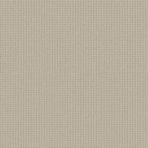 Shaw Floors Carpet San Antonio Natural 00113_5E829