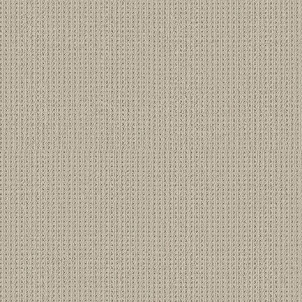 Shaw Floors Carpet San Antonio Natural 00113_5E829