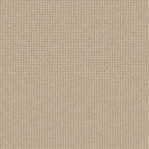 Shaw Floors Carpet San Antonio Biscuit 00114_5E829