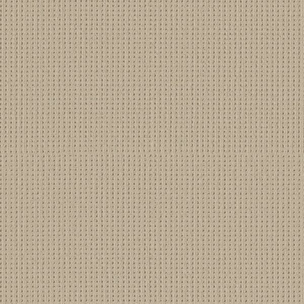 Shaw Floors Carpet San Antonio Biscuit 00114_5E829