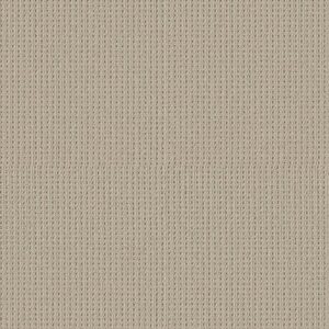 Shaw Floors Carpet San Antonio Fleece 00115_5E829