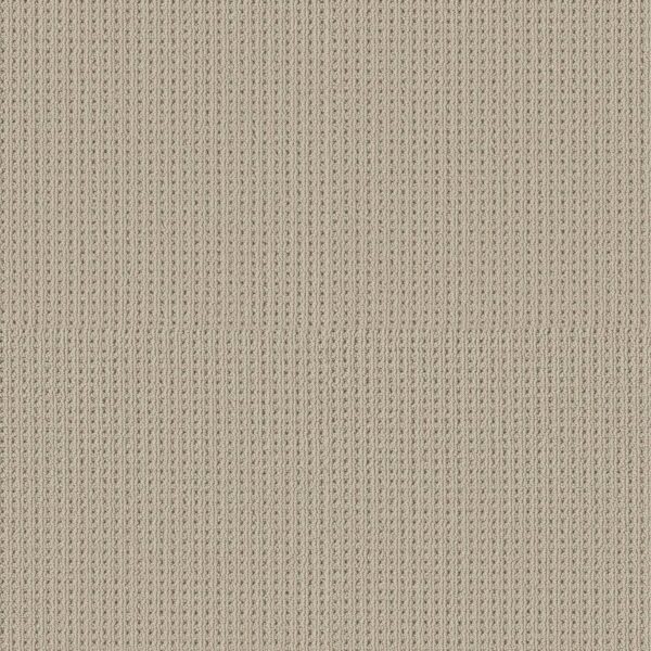 Shaw Floors Carpet San Antonio Fleece 00115_5E829