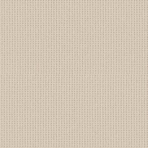 Shaw Floors Carpet San Antonio Sparkling 00121_5E829