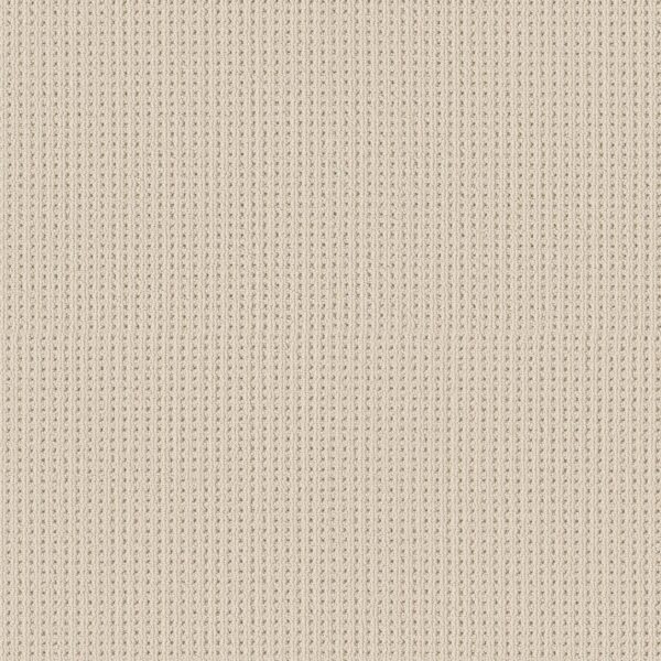 Shaw Floors Carpet San Antonio Sparkling 00121_5E829