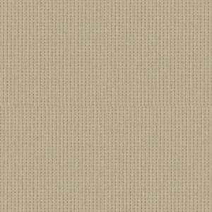 Shaw Floors Carpet San Antonio Beach Haven 00124_5E829
