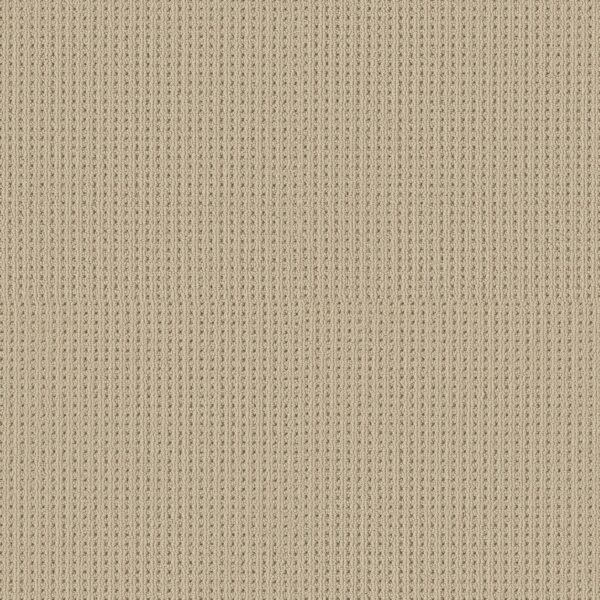 Shaw Floors Carpet San Antonio Beach Haven 00124_5E829