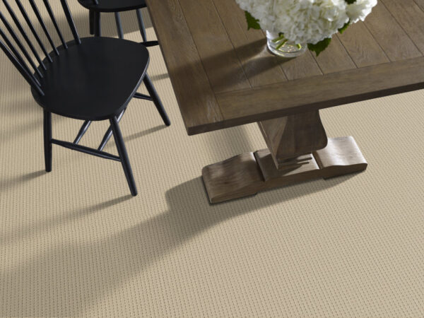 Shaw Floors Carpet San Antonio Beach Haven 00124_5E829 - Image 2
