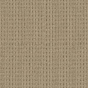 Shaw Floors Carpet San Antonio Golden 00127_5E829
