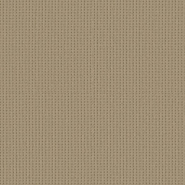 Shaw Floors Carpet San Antonio Golden 00127_5E829