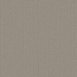 Shaw Floors Carpet San Antonio Portico 00172_5E829