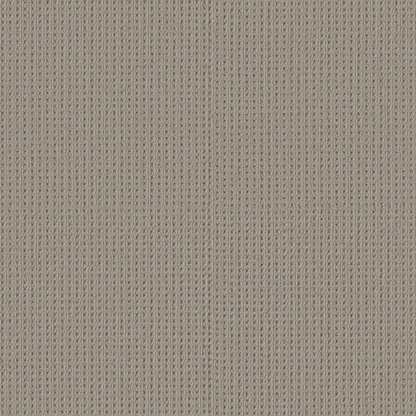 Shaw Floors Carpet San Antonio Portico 00172_5E829