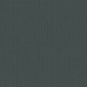 Shaw Floors Carpet San Antonio Blustery Sky 00447_5E829