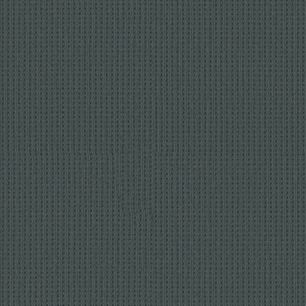 Shaw Floors Carpet San Antonio Blustery Sky 00447_5E829