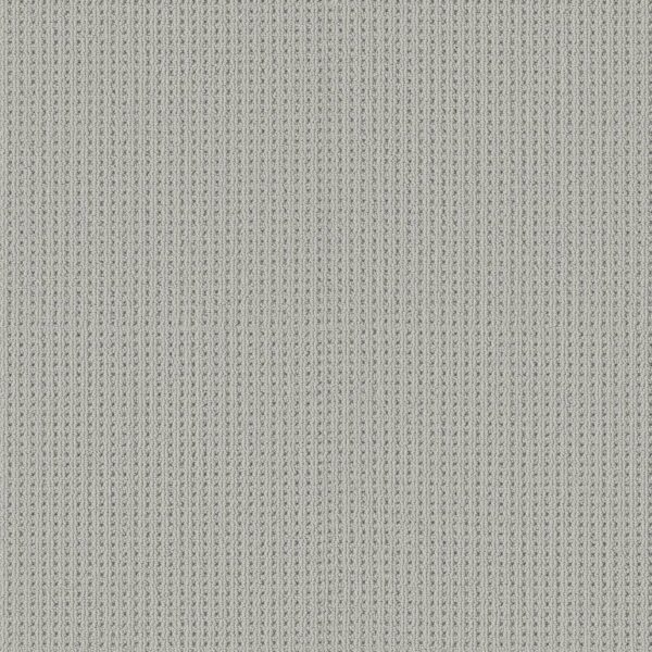 Shaw Floors Carpet San Antonio Lullaby 00540_5E829