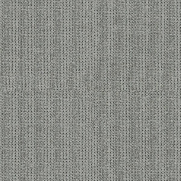 Shaw Floors Carpet San Antonio Half Moon 00544_5E829