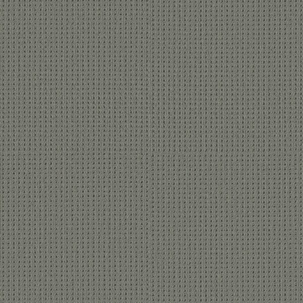 Shaw Floors Carpet San Antonio Tin 00547_5E829