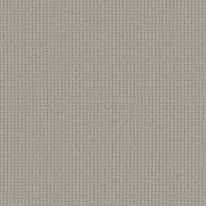 Shaw Floors Carpet San Antonio Silverplate 00552_5E829