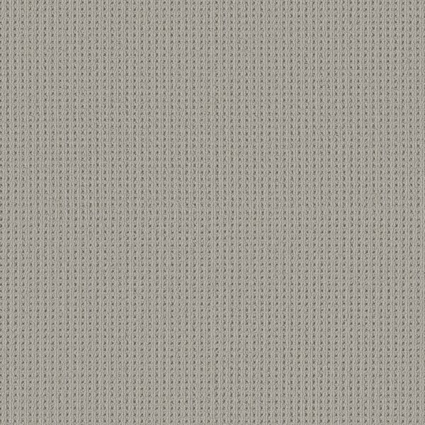 Shaw Floors Carpet San Antonio Silverplate 00552_5E829