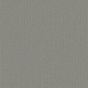 Shaw Floors Carpet San Antonio Essential 00554_5E829