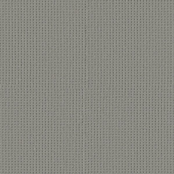 Shaw Floors Carpet San Antonio Essential 00554_5E829
