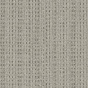 Shaw Floors Carpet San Antonio Classic 00571_5E829