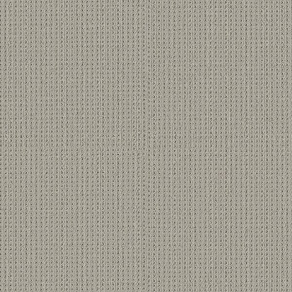 Shaw Floors Carpet San Antonio Classic 00571_5E829