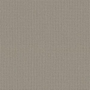 Shaw Floors Carpet San Antonio Huskie 00573_5E829