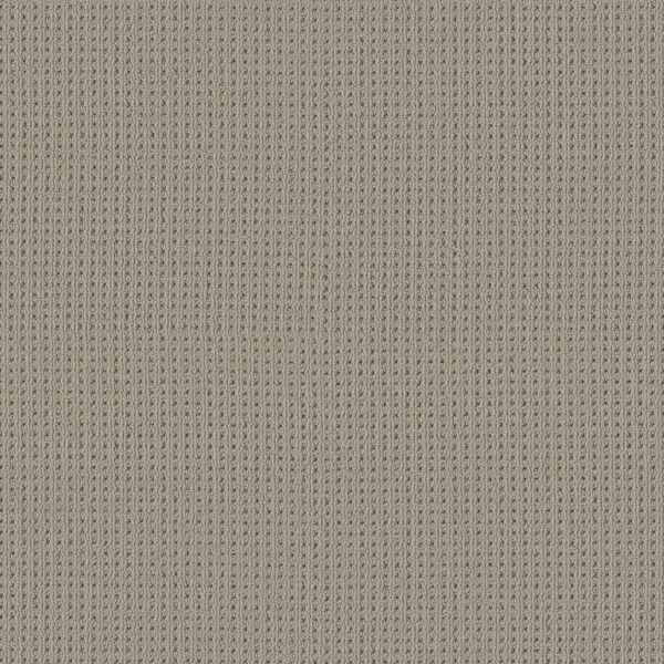 Shaw Floors Carpet San Antonio Huskie 00573_5E829