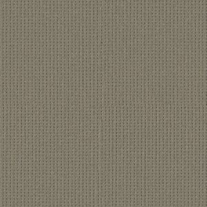 Shaw Floors Carpet San Antonio Pewter 00577_5E829