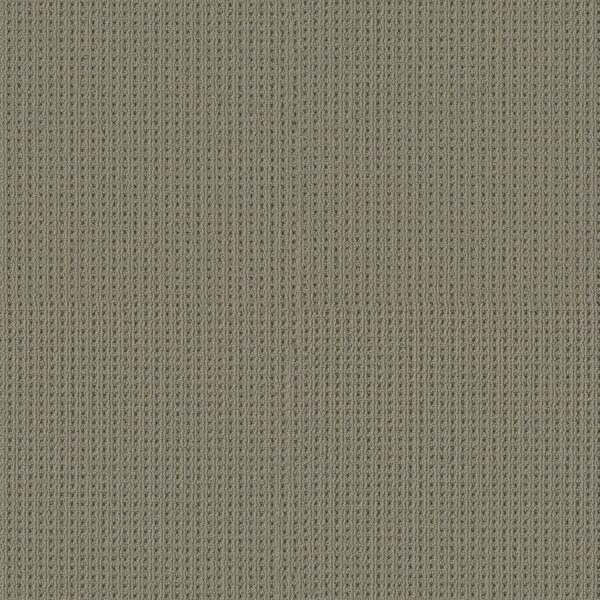 Shaw Floors Carpet San Antonio Pewter 00577_5E829