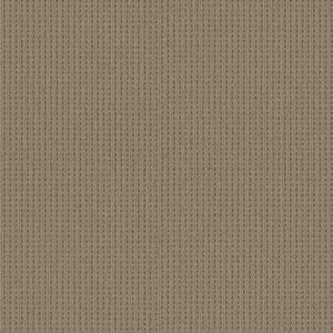 Shaw Floors Carpet San Antonio Latte 00724_5E829