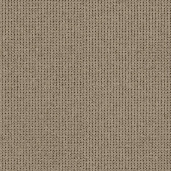Shaw Floors Carpet San Antonio Latte 00724_5E829