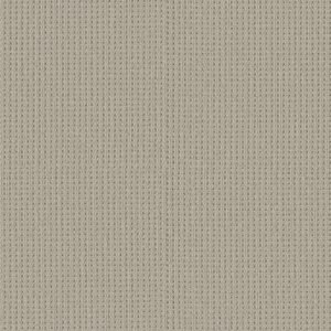 Shaw Floors Carpet San Antonio Plymouth 00772_5E829