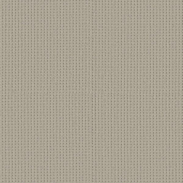 Shaw Floors Carpet San Antonio Plymouth 00772_5E829