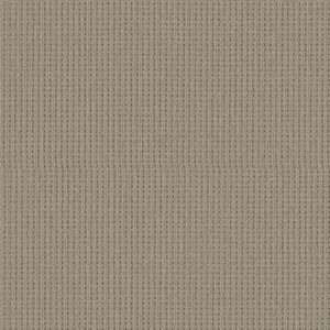 Shaw Floors Carpet San Antonio Rockport 00774_5E829