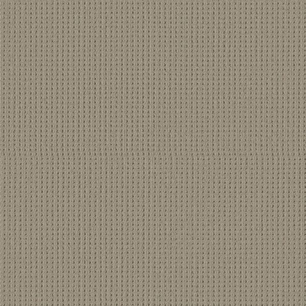 Shaw Floors Carpet San Antonio Rockport 00774_5E829