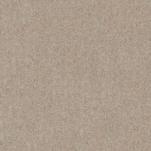 Shaw Floors Carpet Canyon Lake Snowfall 0111B_5E830