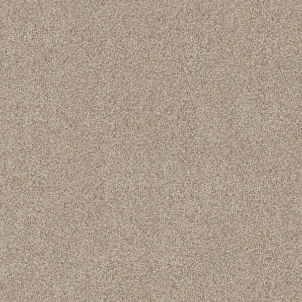 Shaw Floors Carpet Canyon Lake Snowfall 0111B_5E830